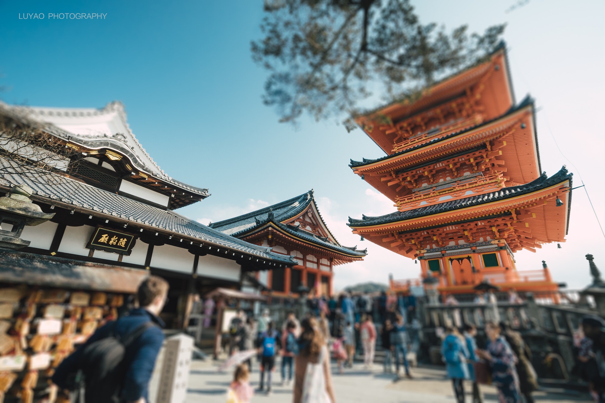 京都必去景点，京都有什么好玩的地方
