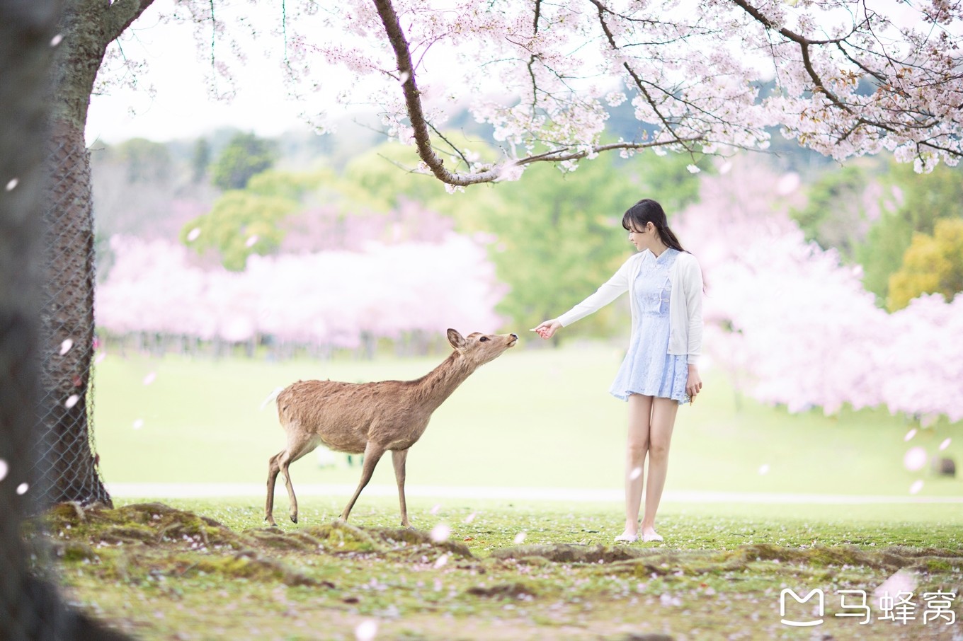 潜派旅行