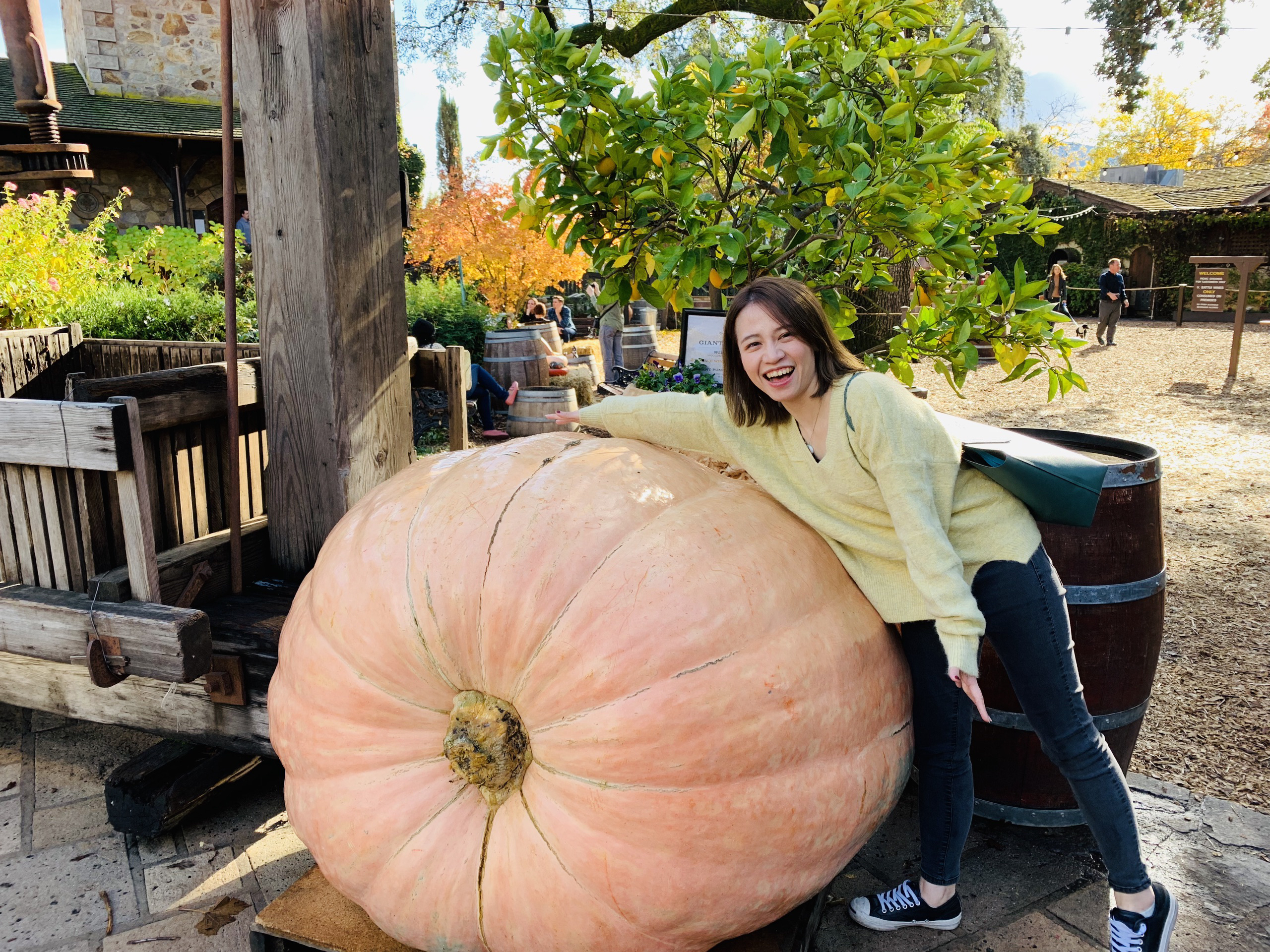 【纳帕景点图片】Napa Valley Museum