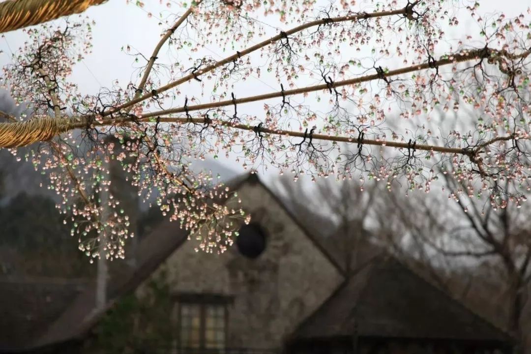 潜派旅行