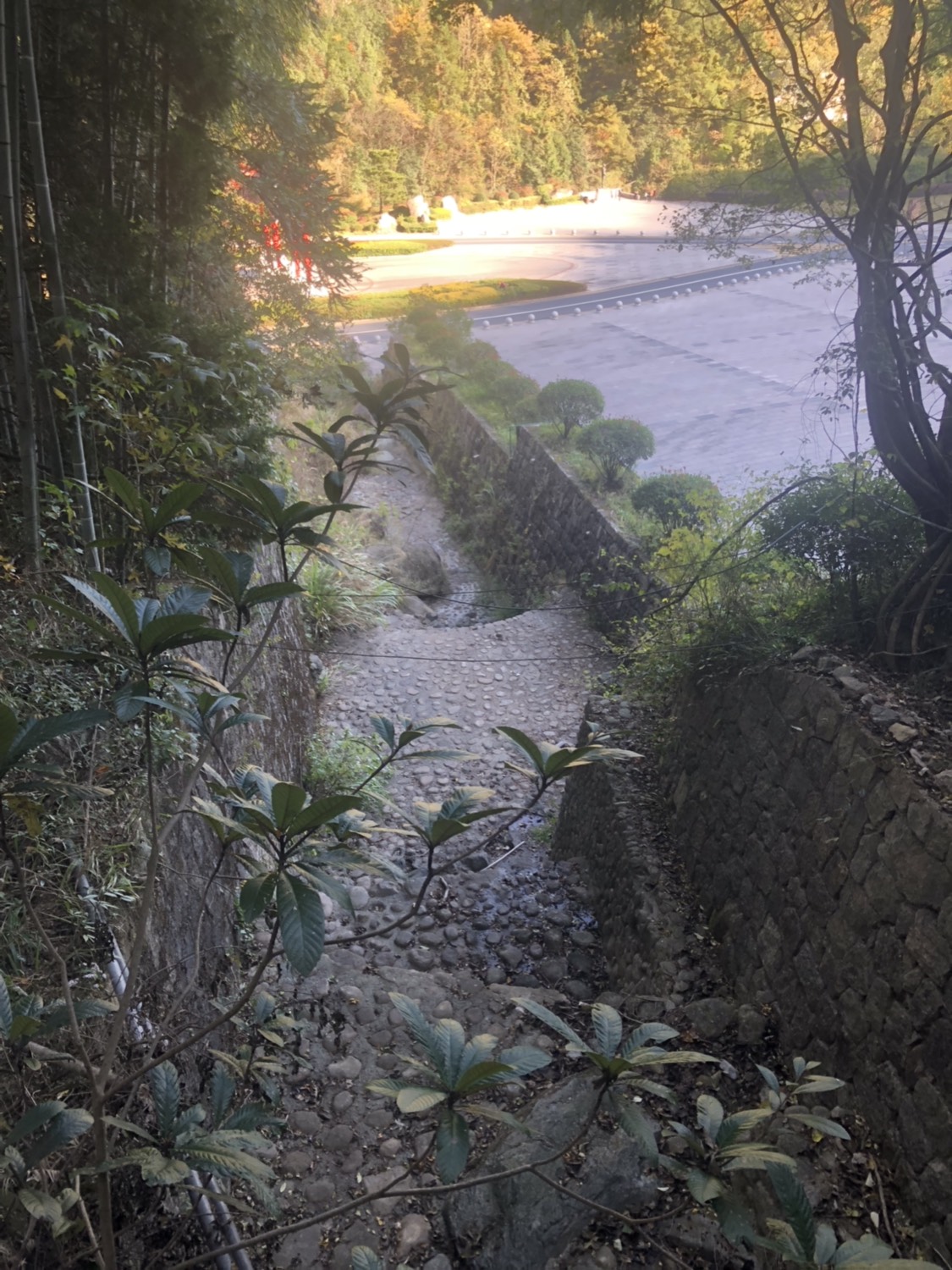 道人峰