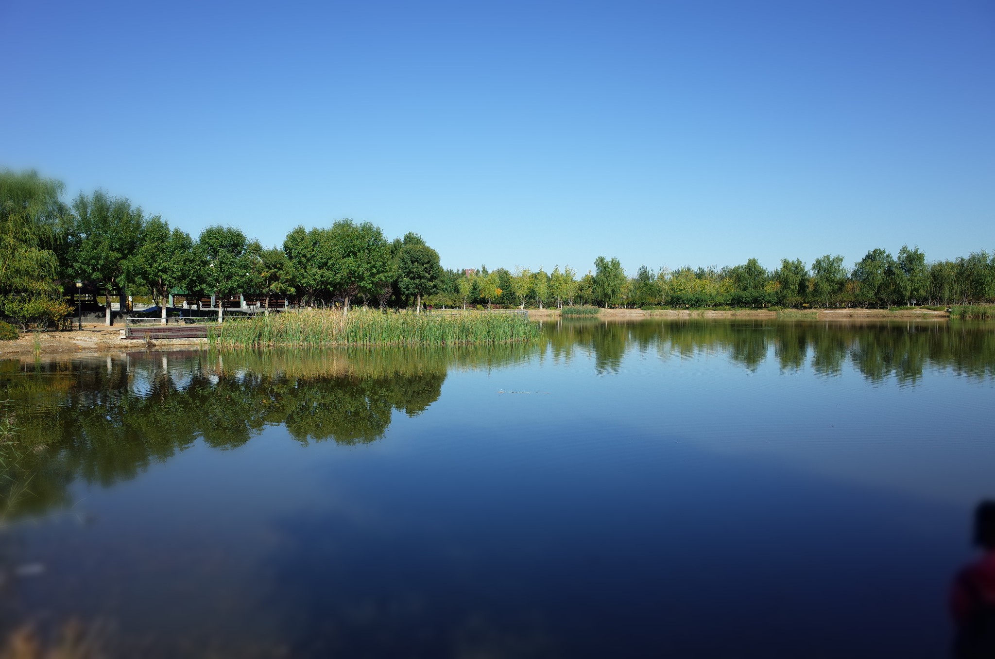 永定河休闲森林公园      