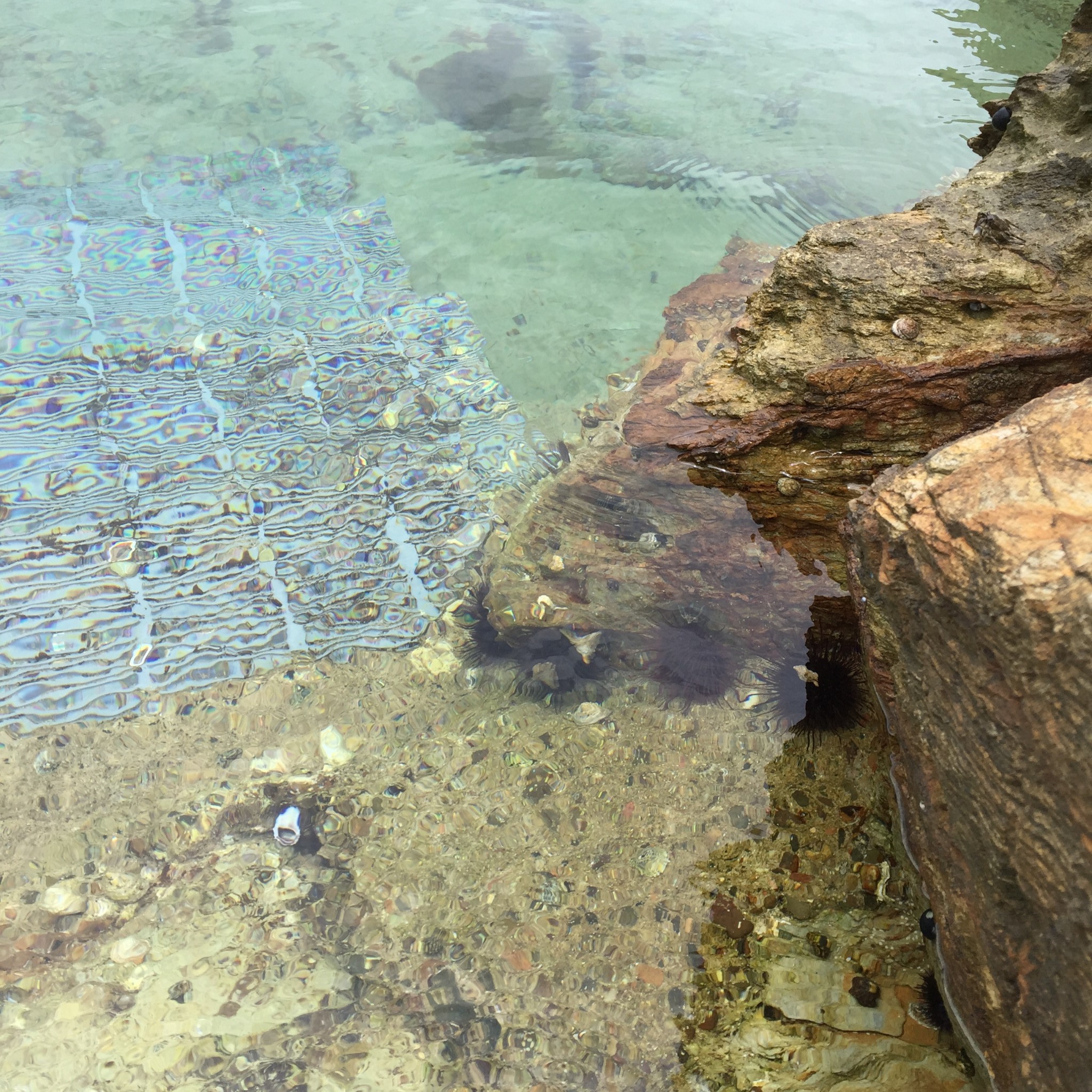 新南威尔士娱乐-Blue Pool