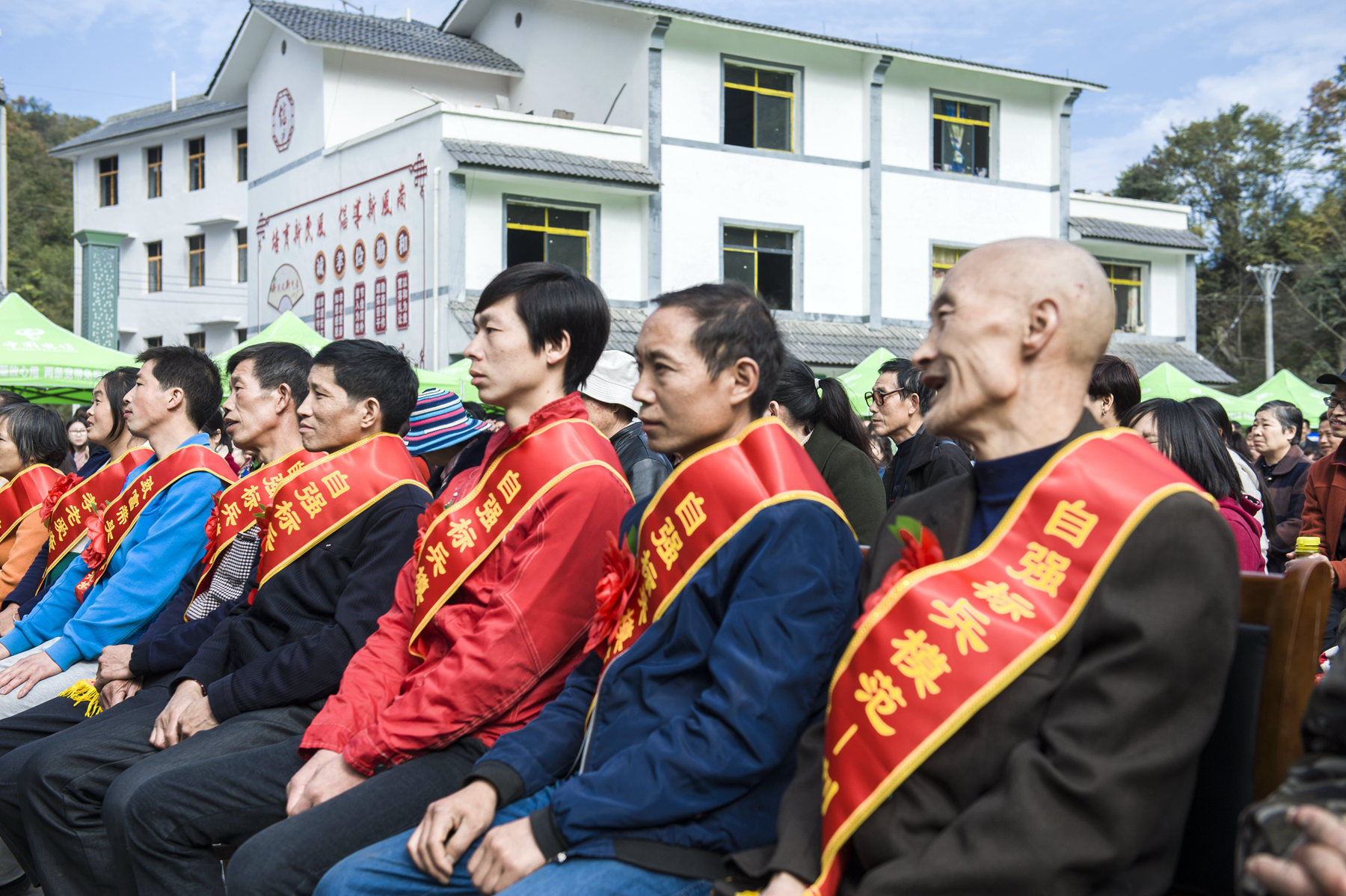 深秋到白河县构扒镇东坡村看千年的银杏古树  ...