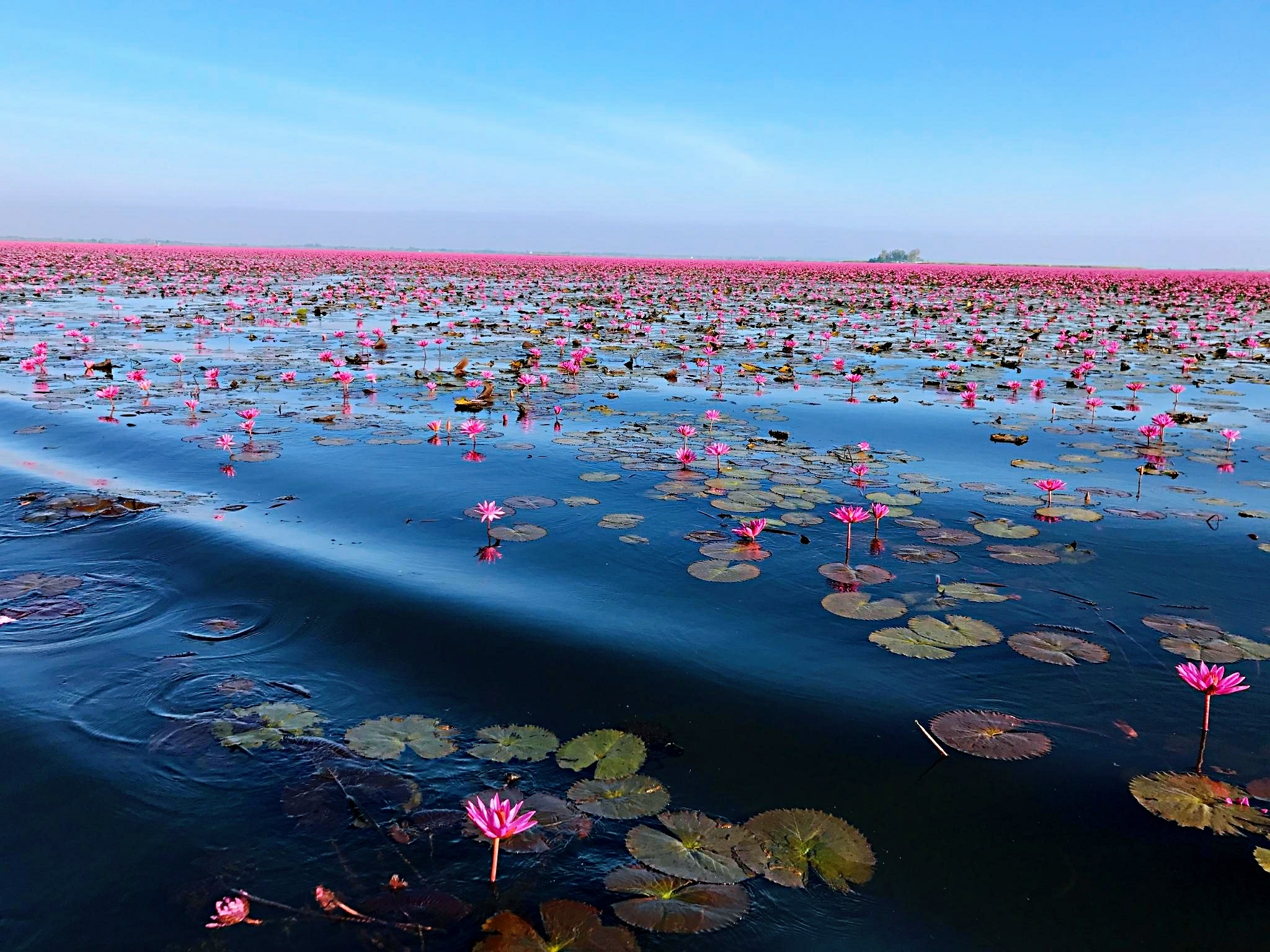 马泰镜花缘_游记