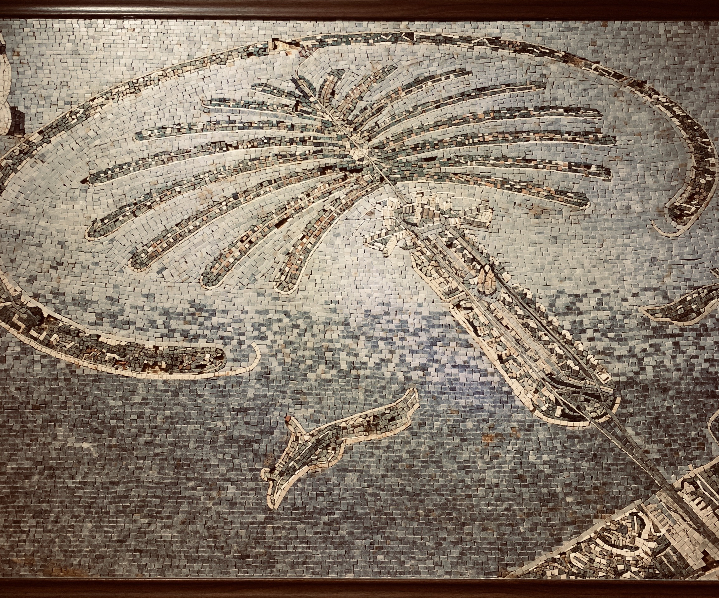 迪拜美食-Starbucks Coffee