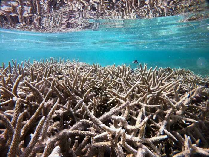 几月份去西沙群岛好?什么时候去西沙群岛最好