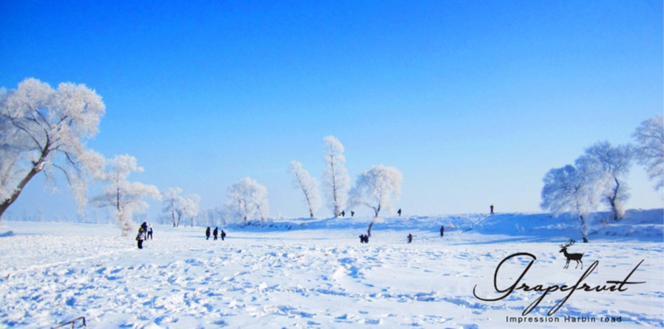 远方旅游，哈尔滨雪乡——《旅游攻略》北国风...