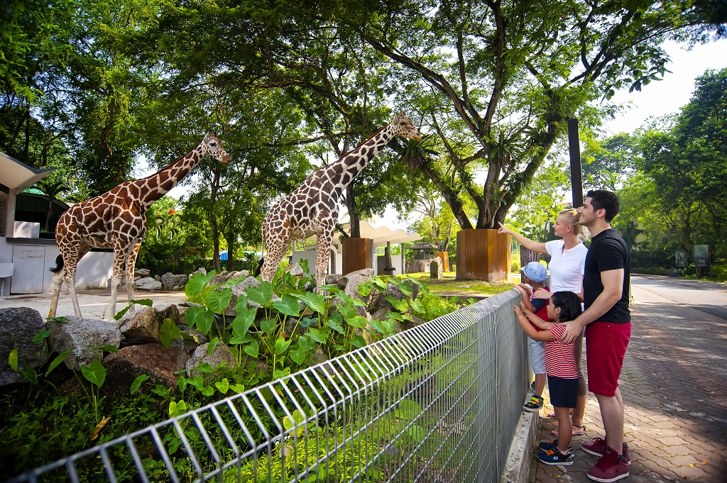 马来西亚国家动物园 (动植物天堂 近距离观察 趣味无穷)
