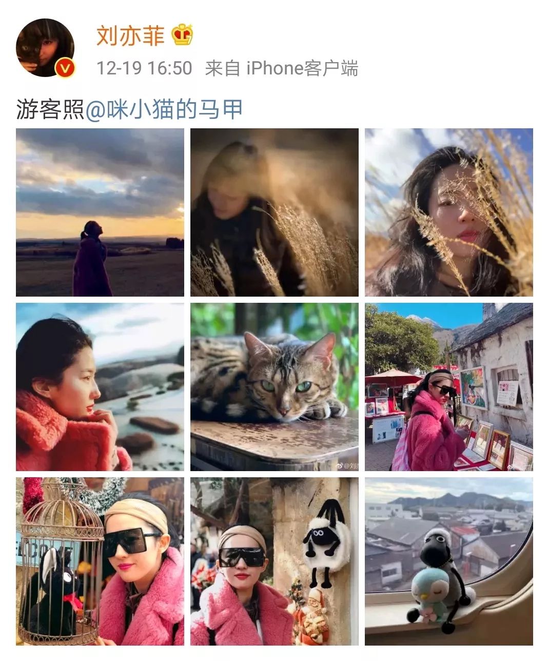 潜派旅行