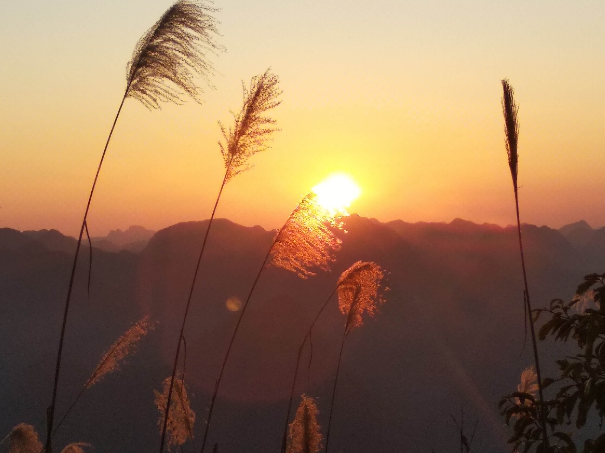 美丽的巴社山