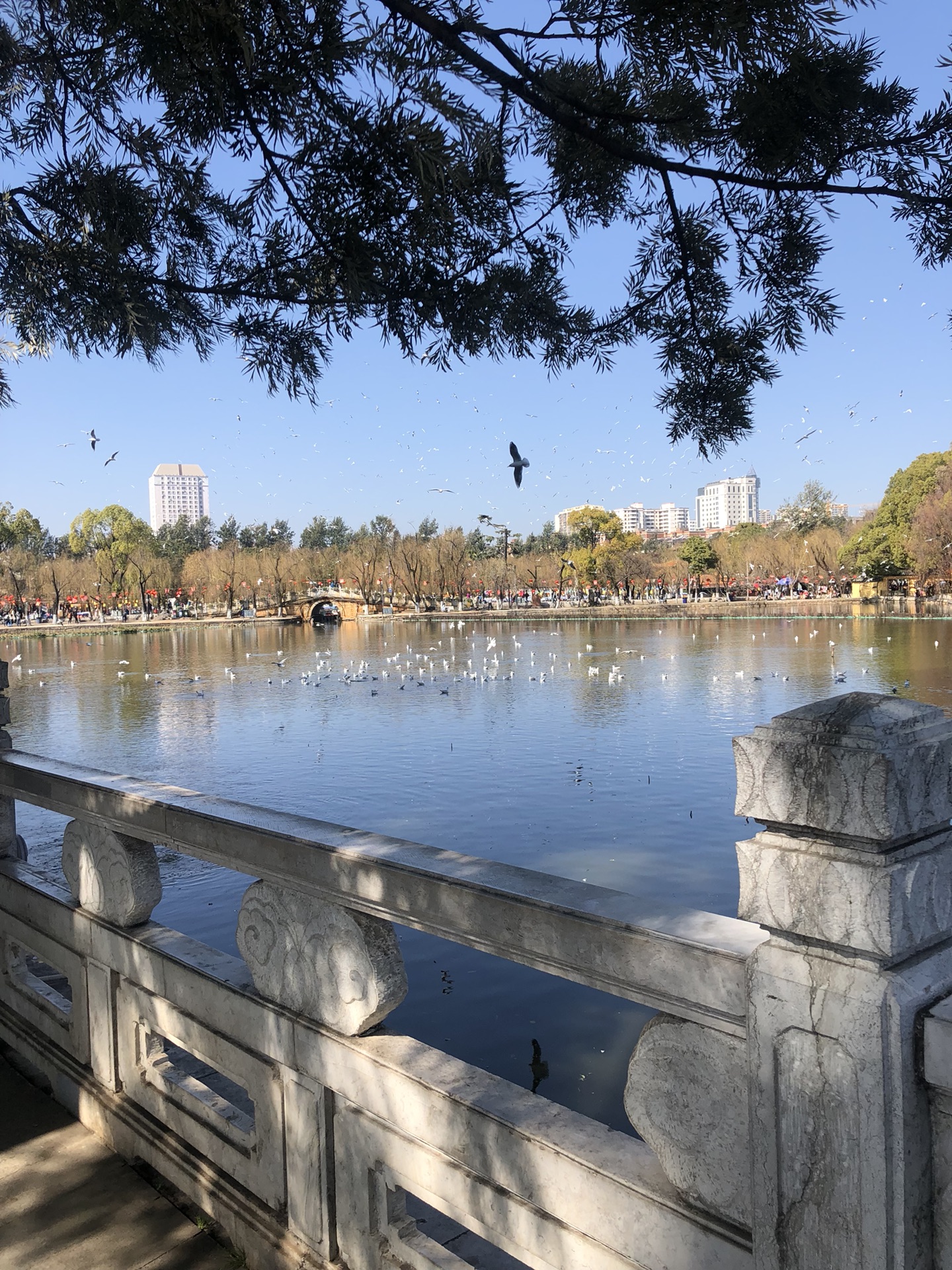 昆明翠湖公园        