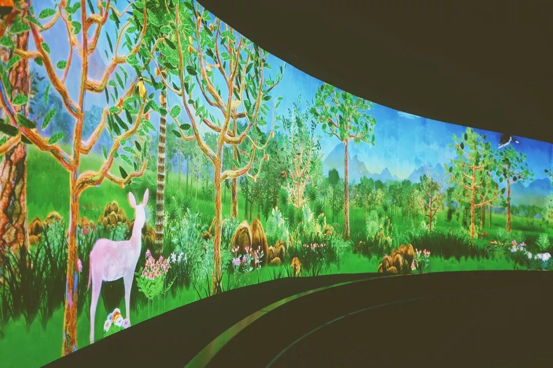 潜派旅行