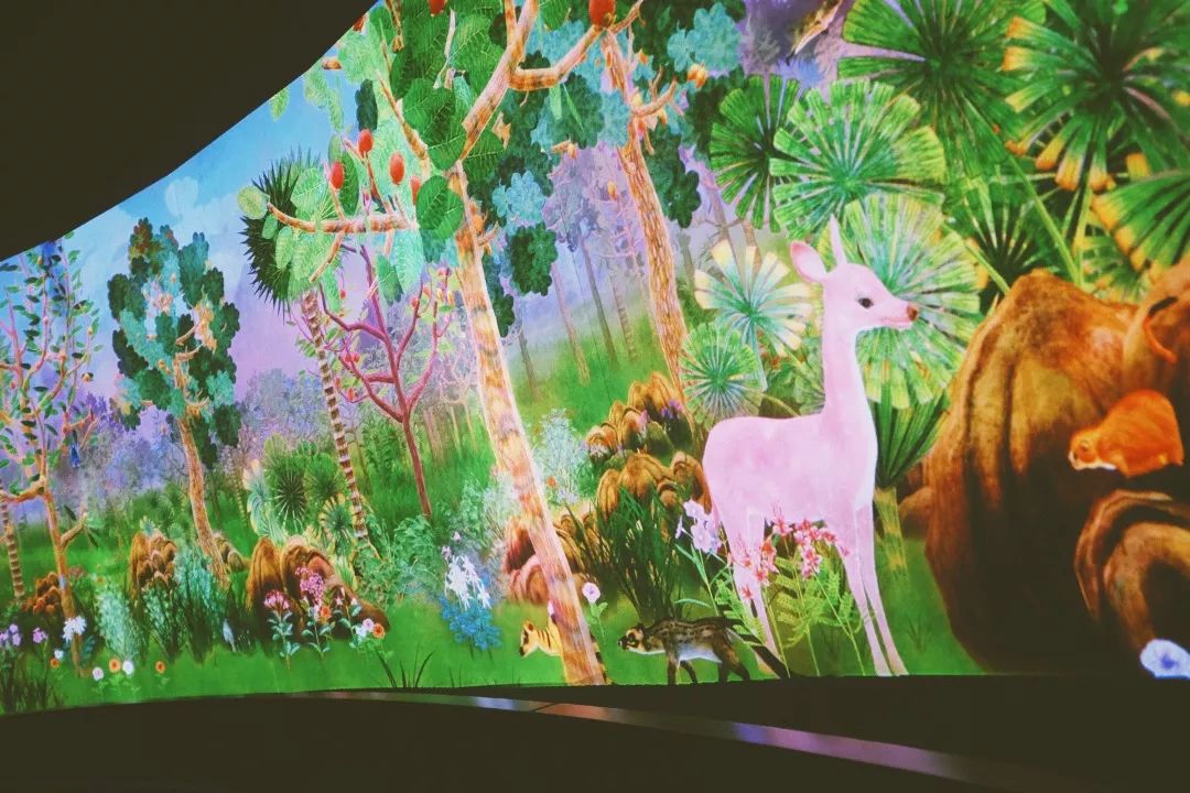 潜派旅行