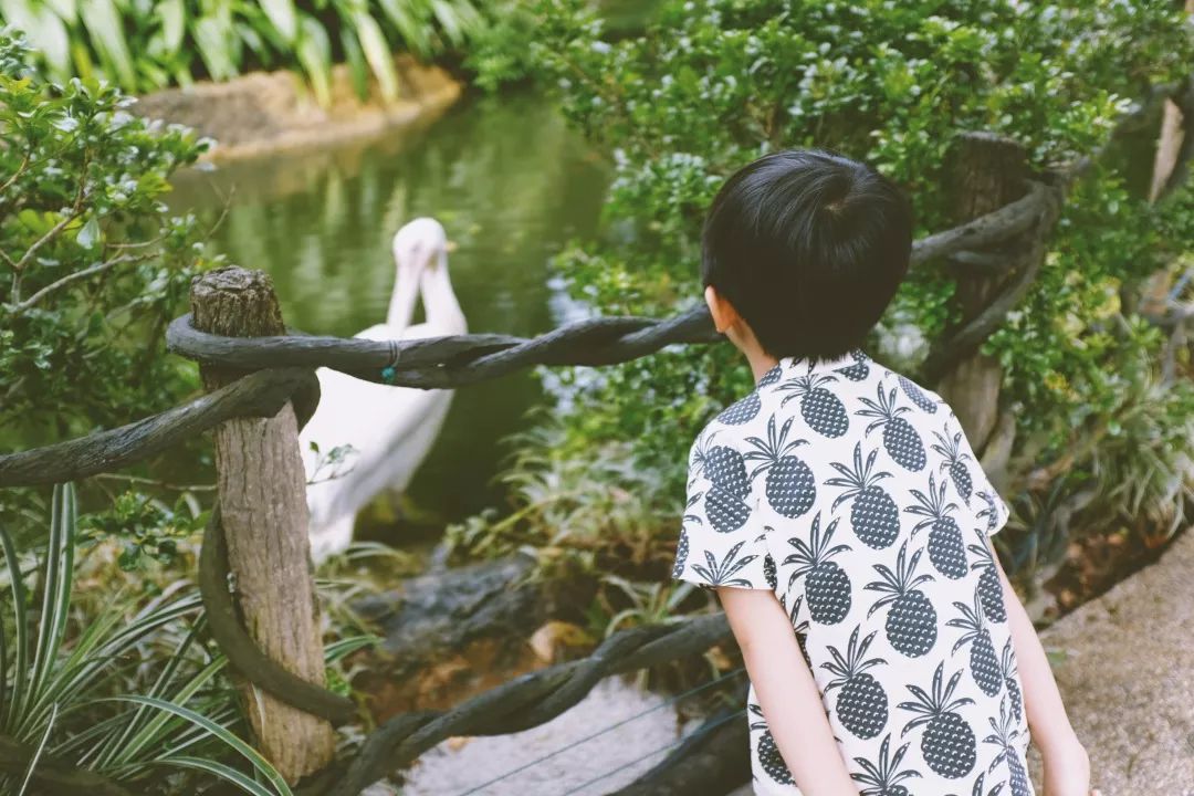 潜派旅行