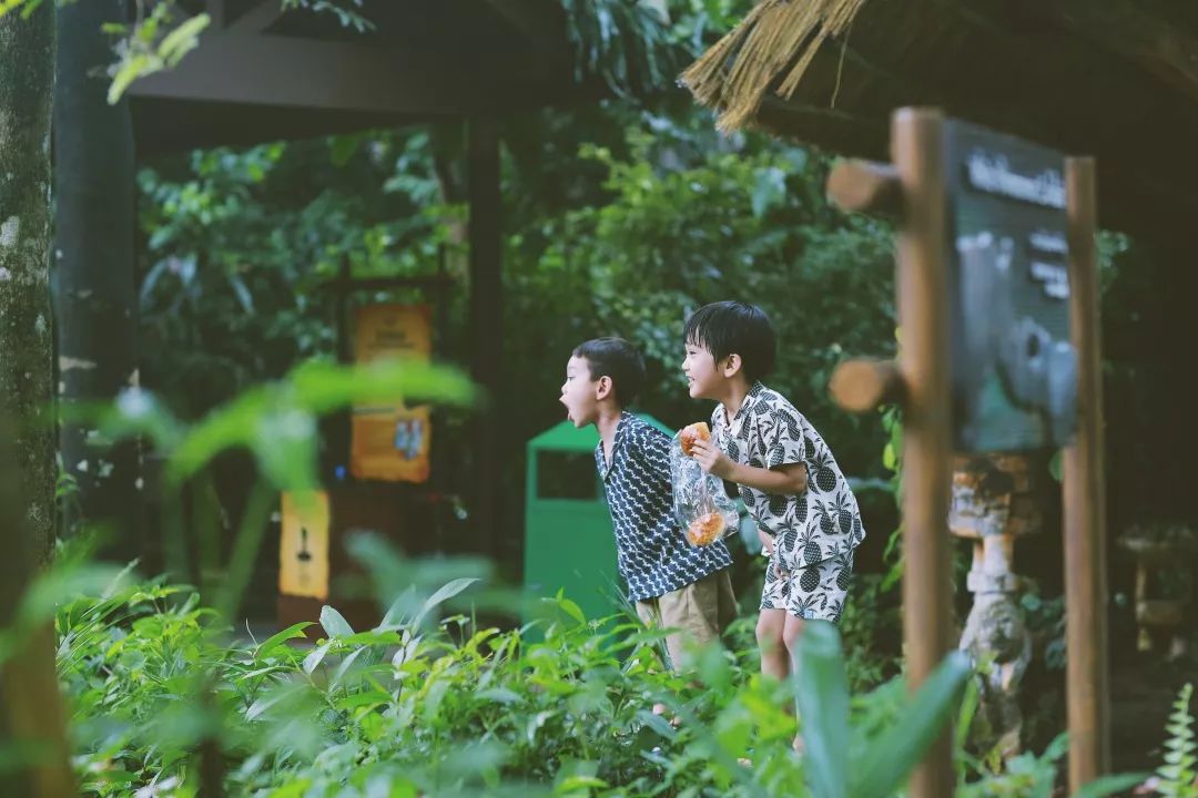 潜派旅行