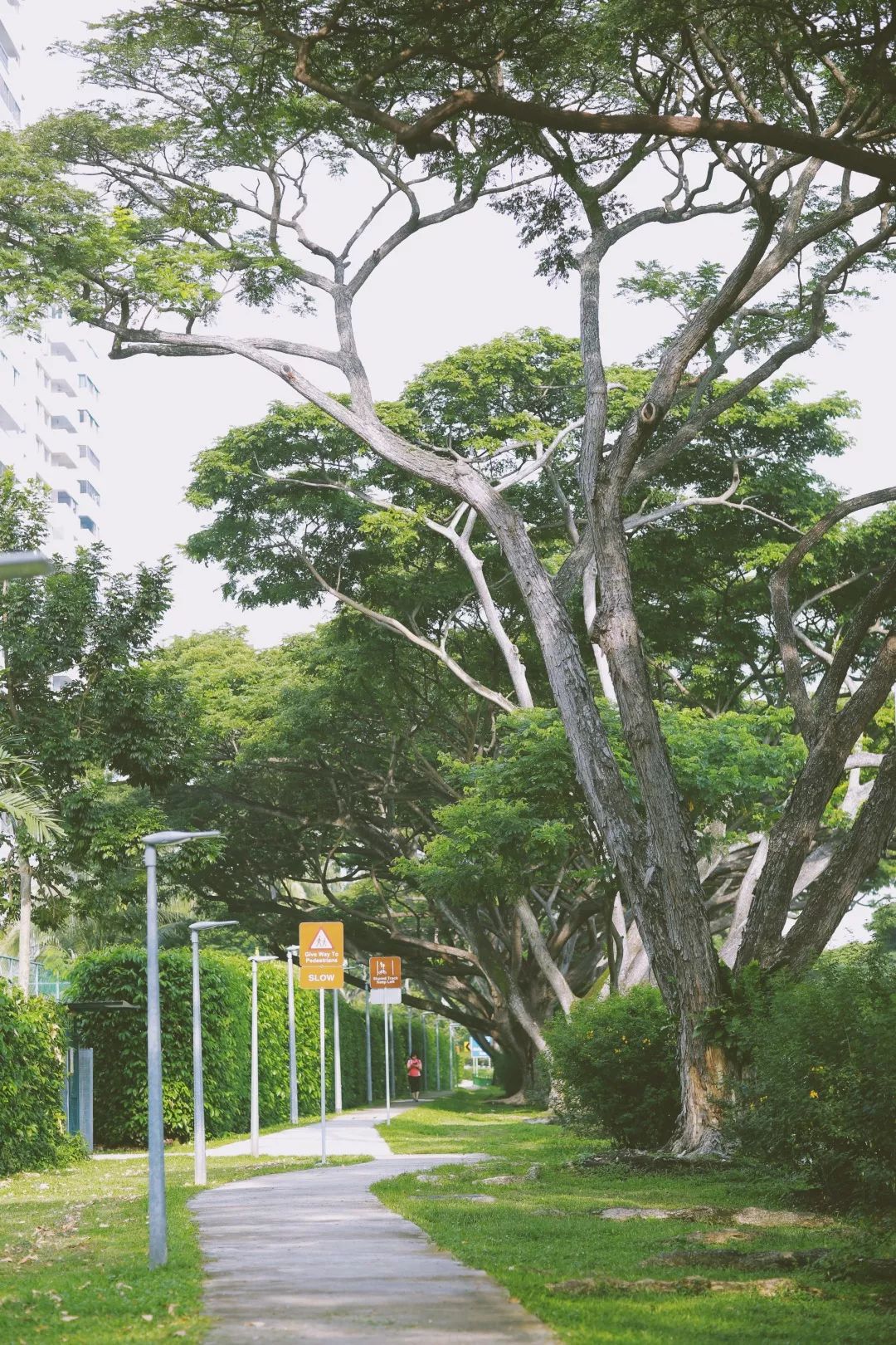 潜派旅行
