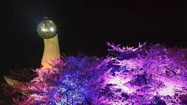 潜派旅行