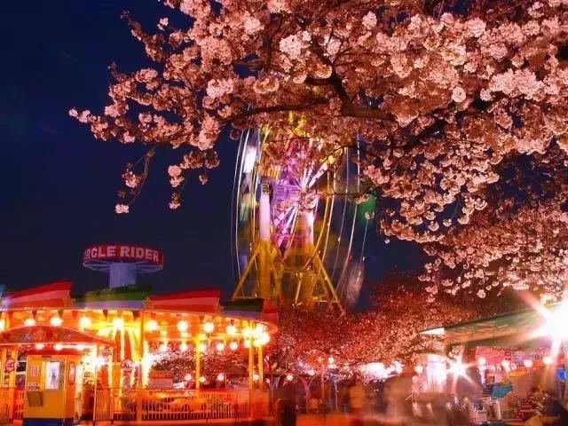 潜派旅行