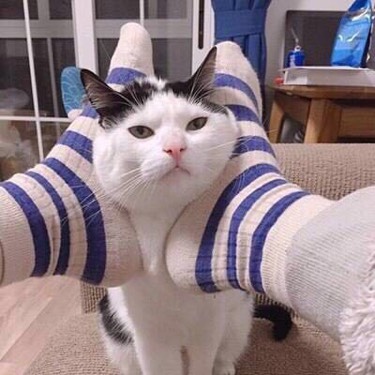 阿跃