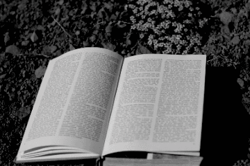 荒岛生存指南_游记