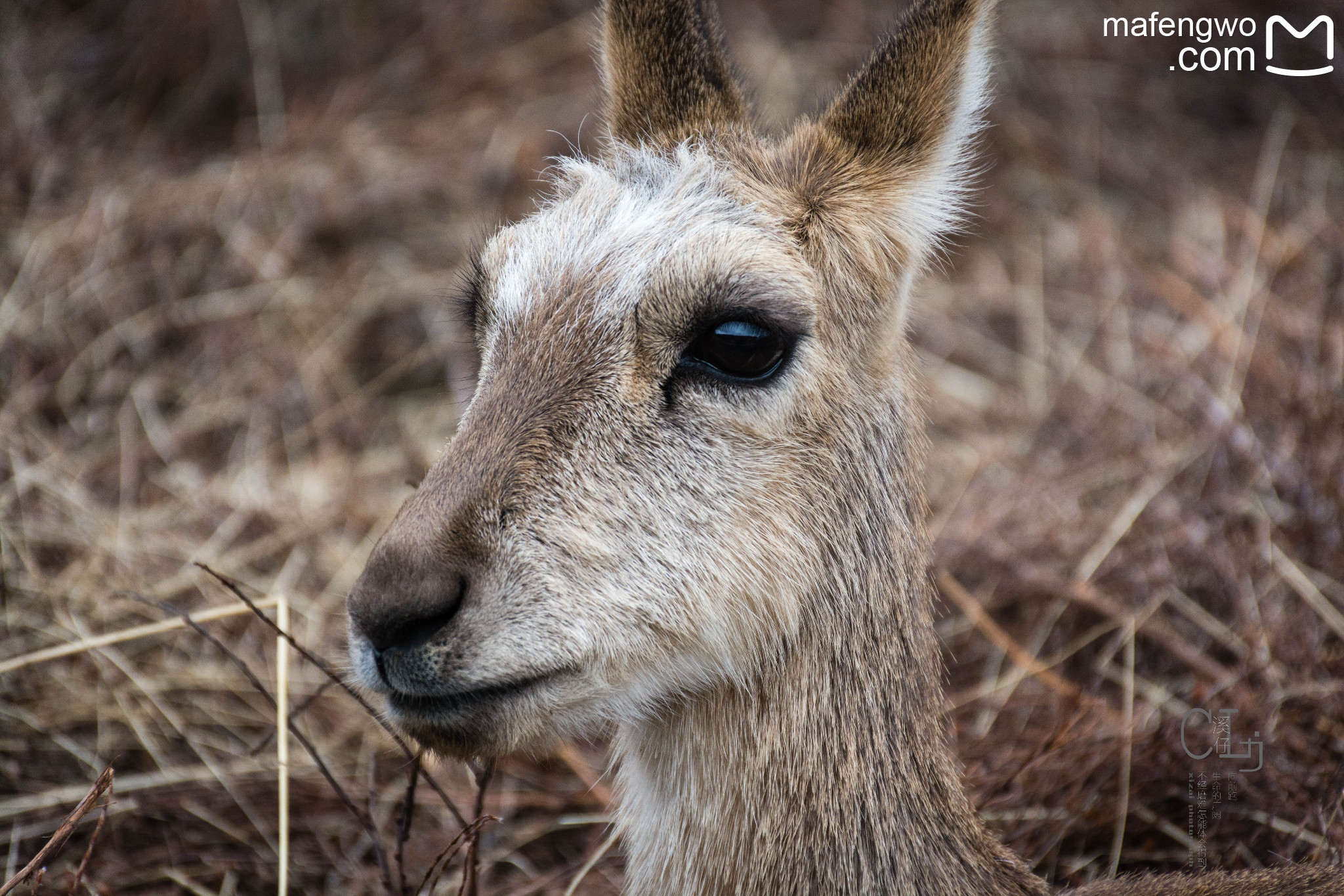 越过山丘，遇见19岁的我【待更新】_游记