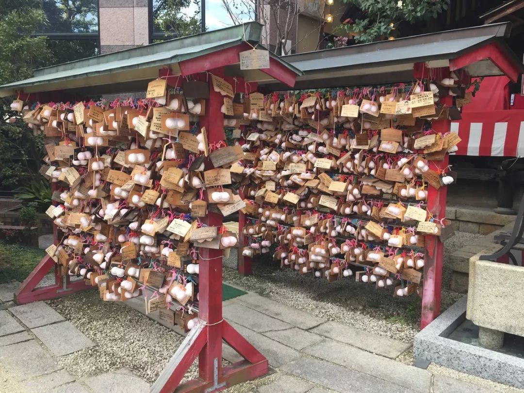 潜派旅行