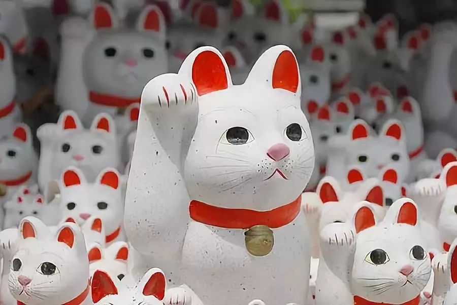 潜派旅行