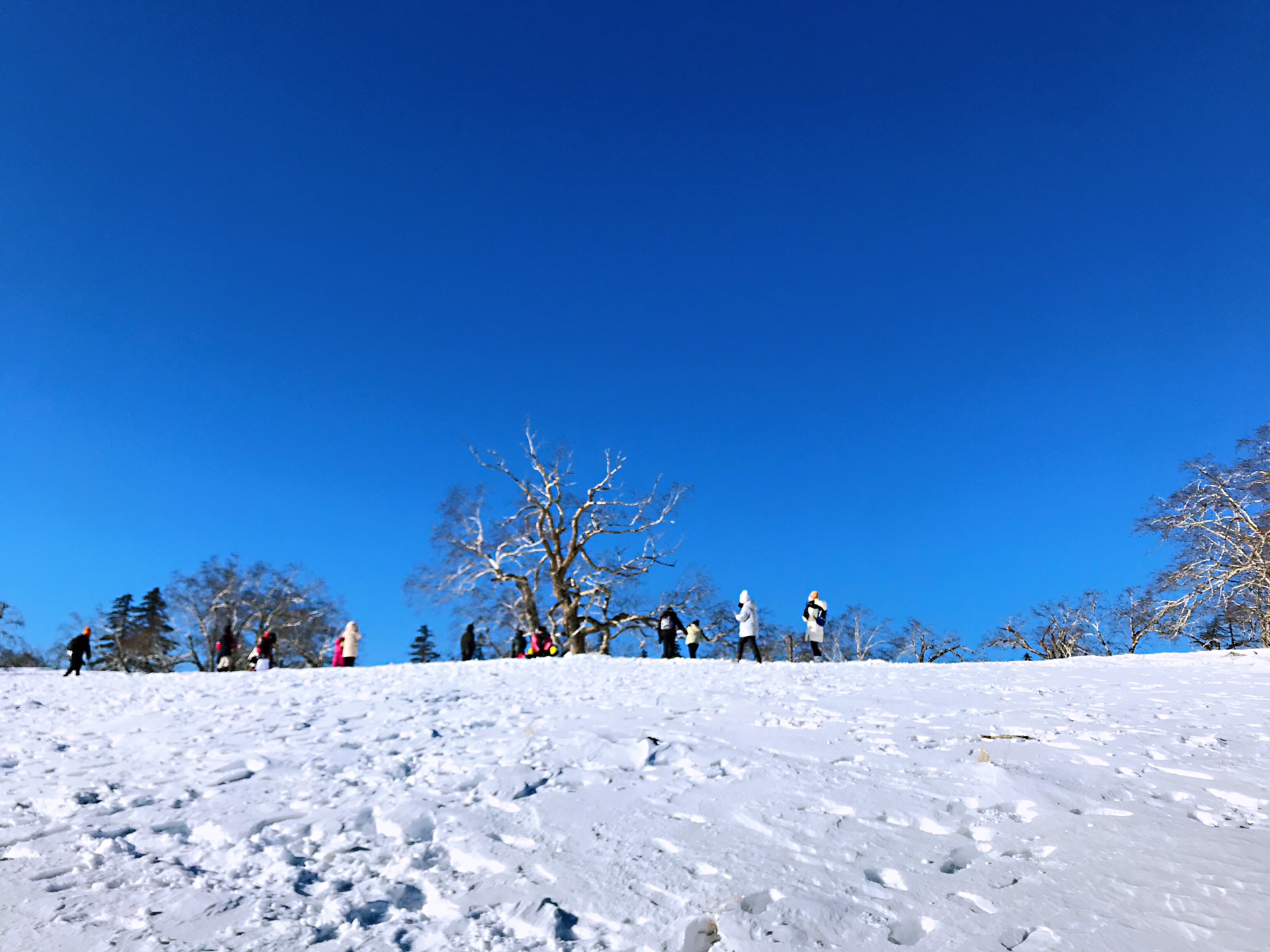 从一生中最冷的冬天走过——从亚布力到雪乡,东北自助游攻略 - 马蜂窝