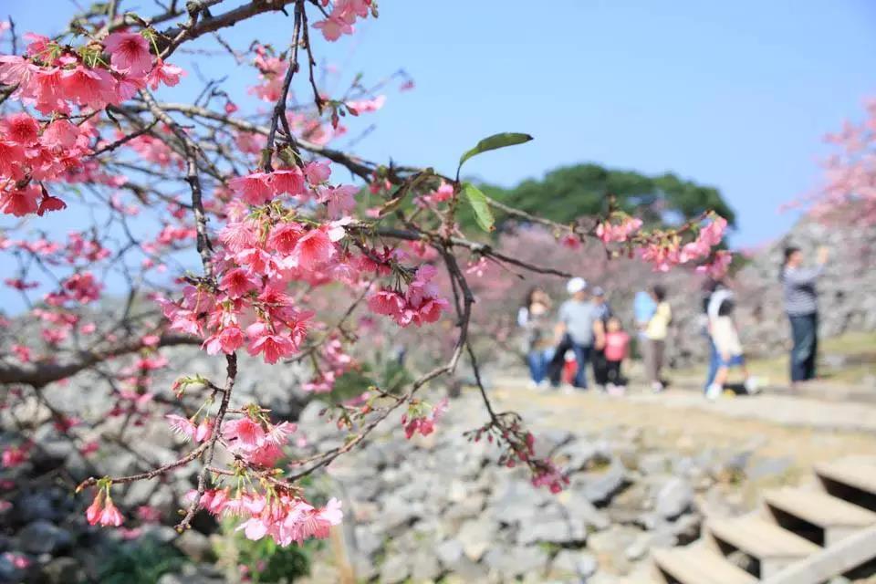 潜派旅行