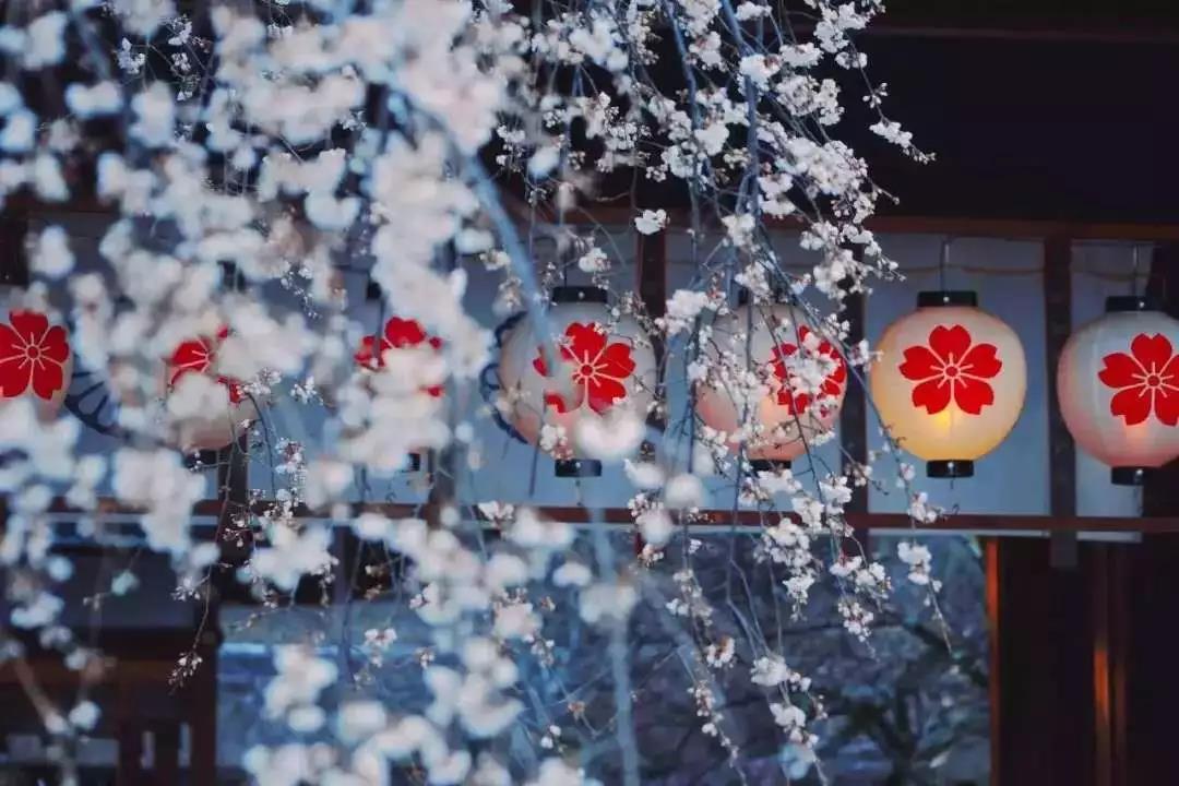潜派旅行