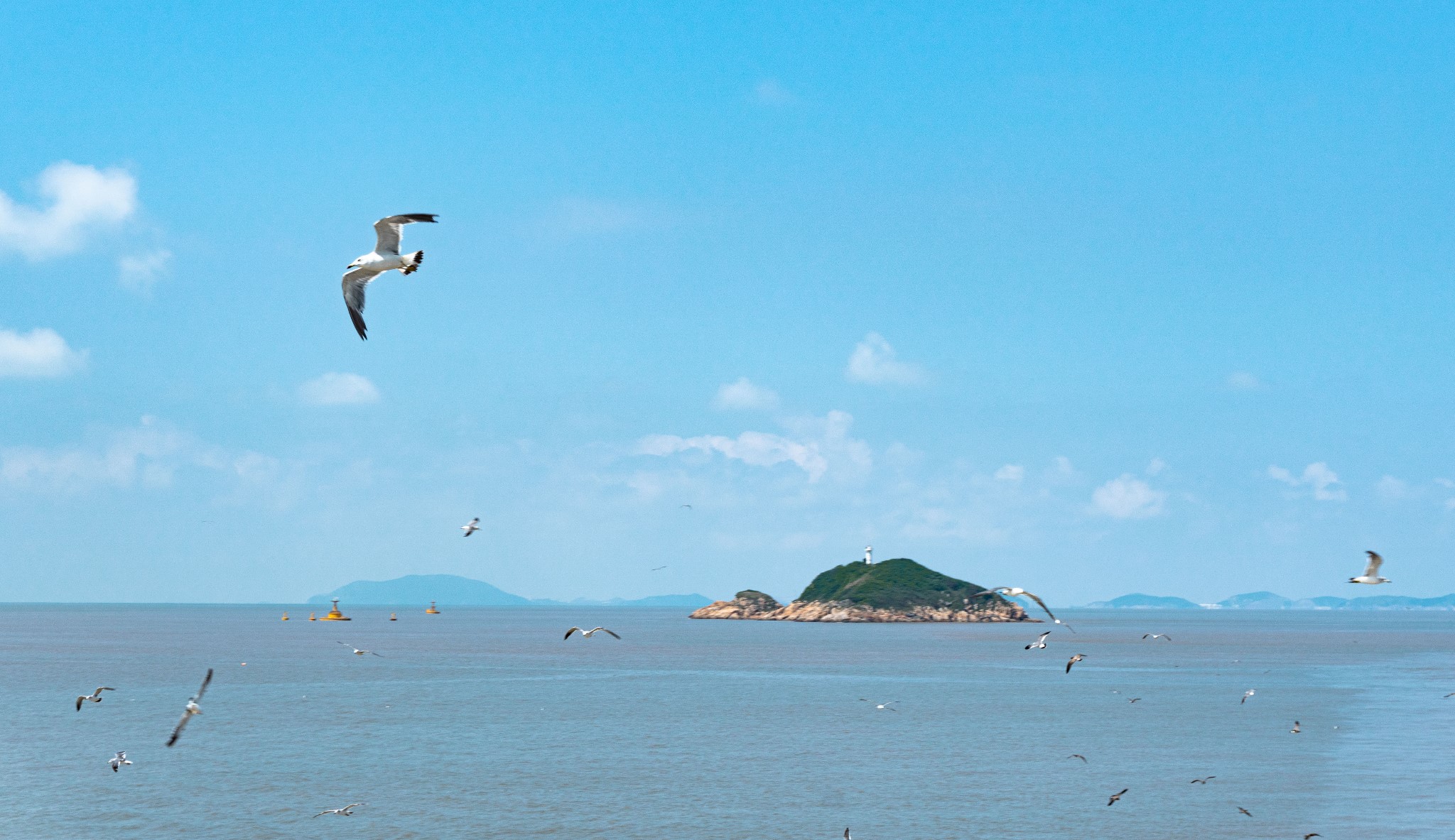 浙江·衢山岛|舟山最美的海上风车岛自由行全攻略