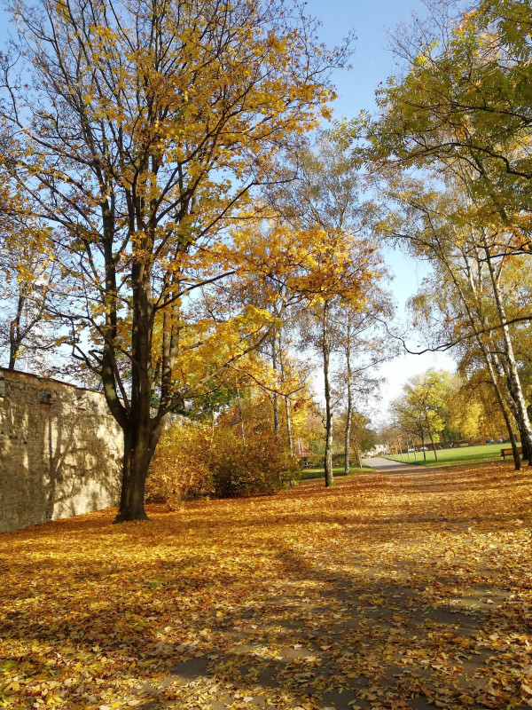 捷克 奥地利 德国 马耳他 意大利自由行,马耳他旅