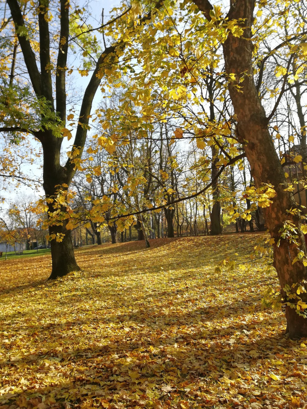 捷克 奥地利 德国 马耳他 意大利自由行,马耳他旅