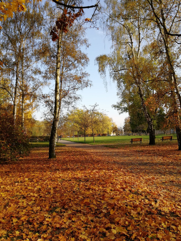 捷克 奥地利 德国 马耳他 意大利自由行,马耳他旅