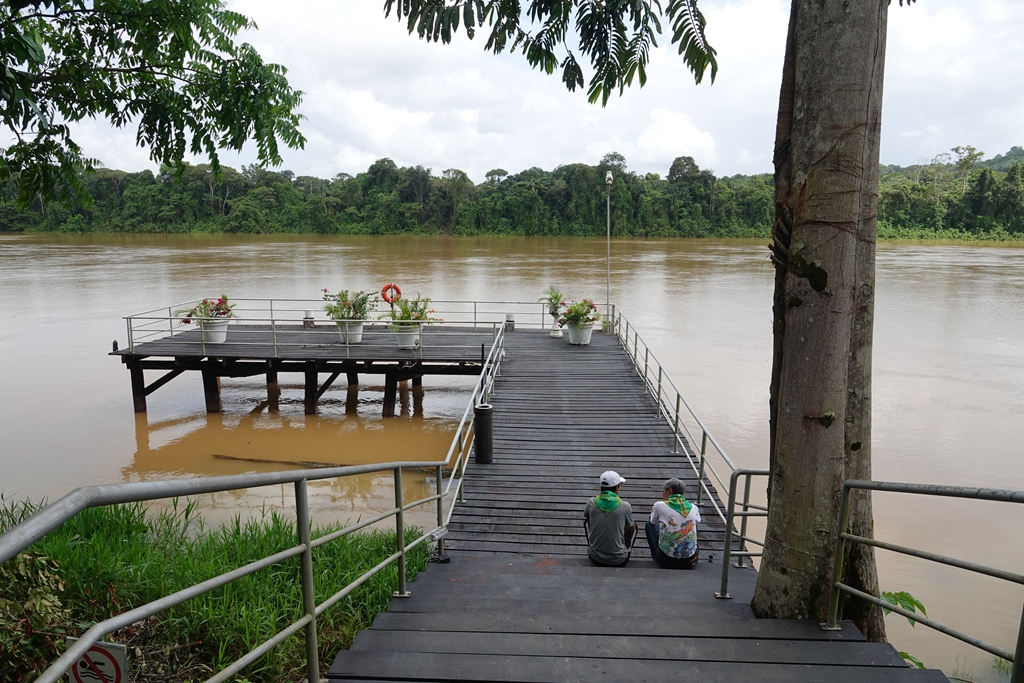 #我的2018#在伯根黛儿生态度假村过圣诞节_游记