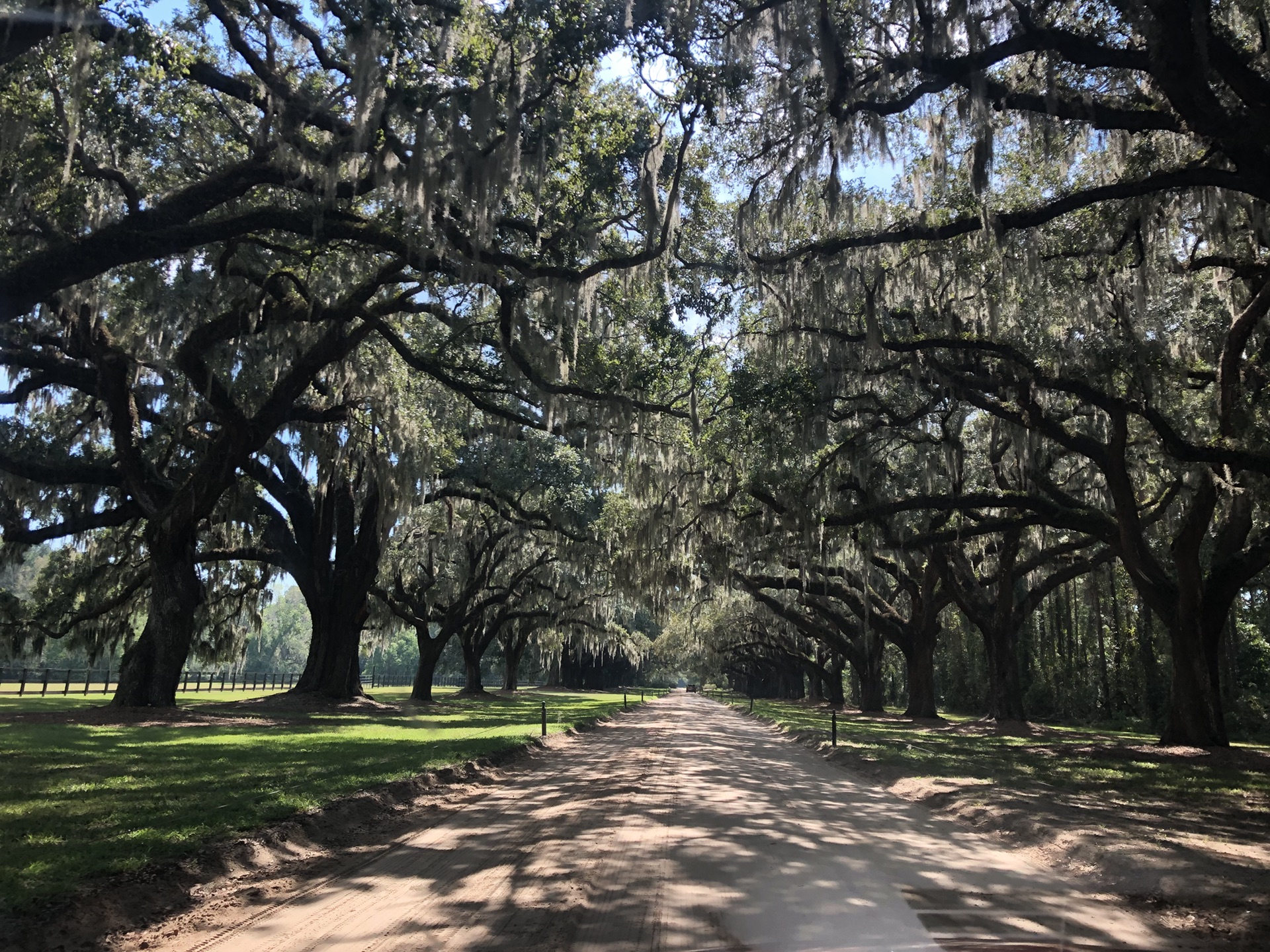 查尔斯顿-巴哈马游轮之旅（D7）——另类“亲子游”_游记