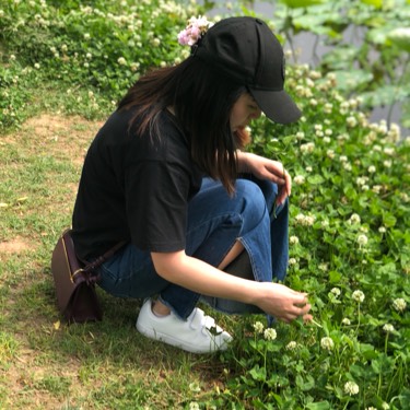 陆陆陆杨
