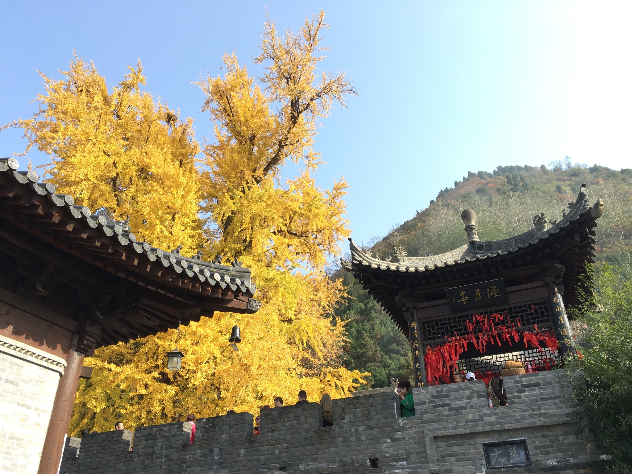 陕西西安古观音禅寺