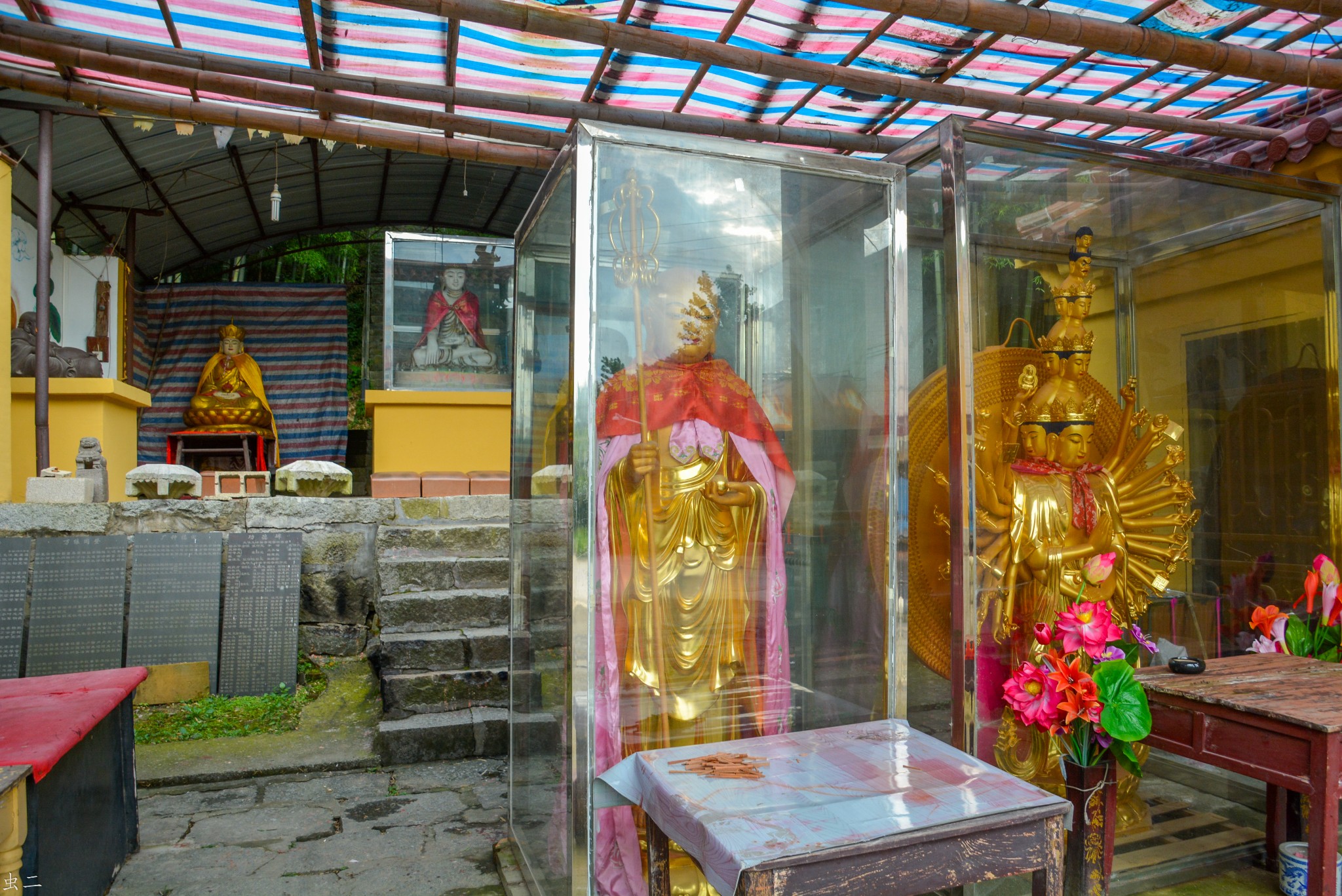 宜兴 千年七叶树 河海门 九峰禅寺 龙珠湖