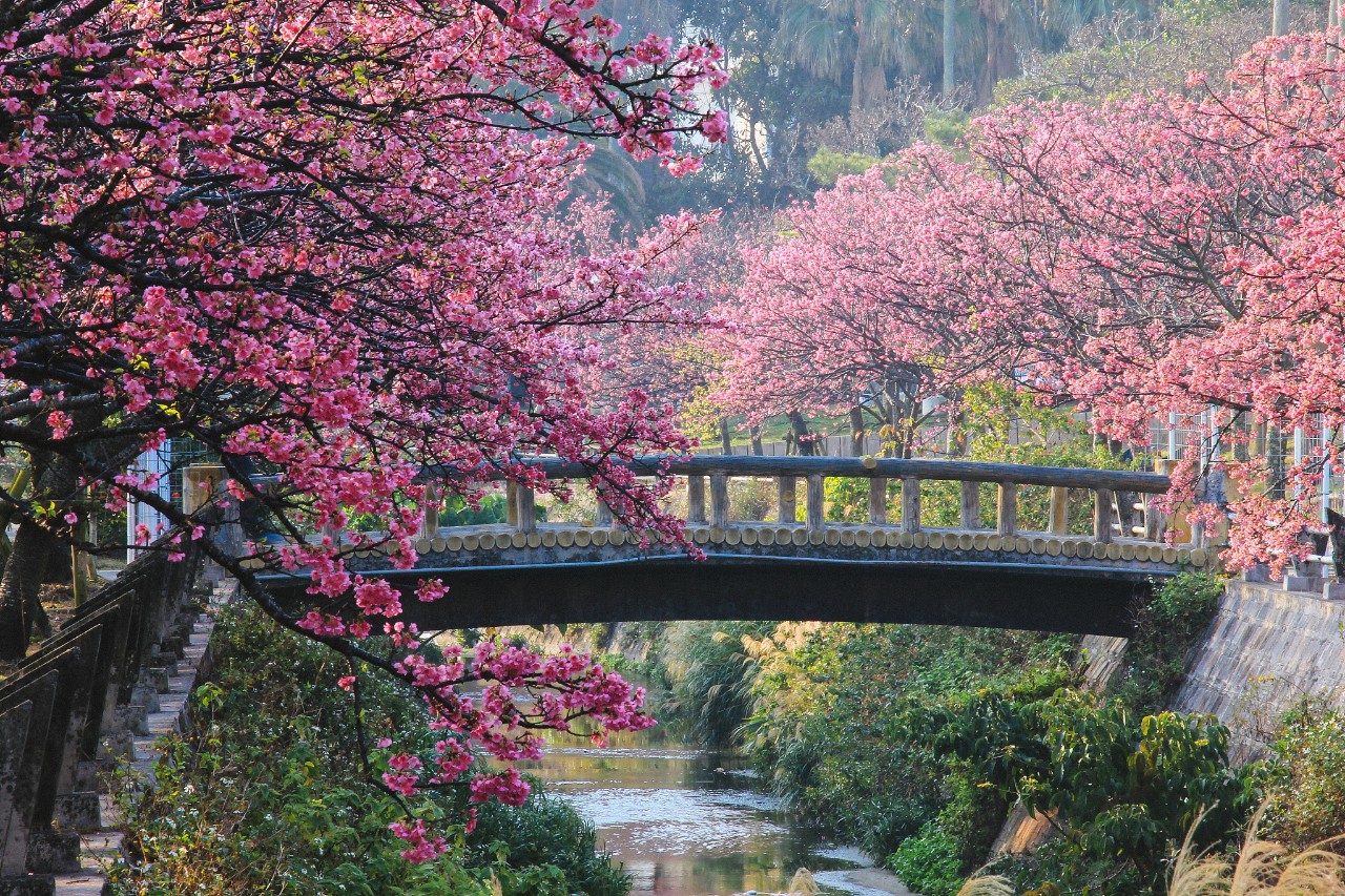 潜派旅行