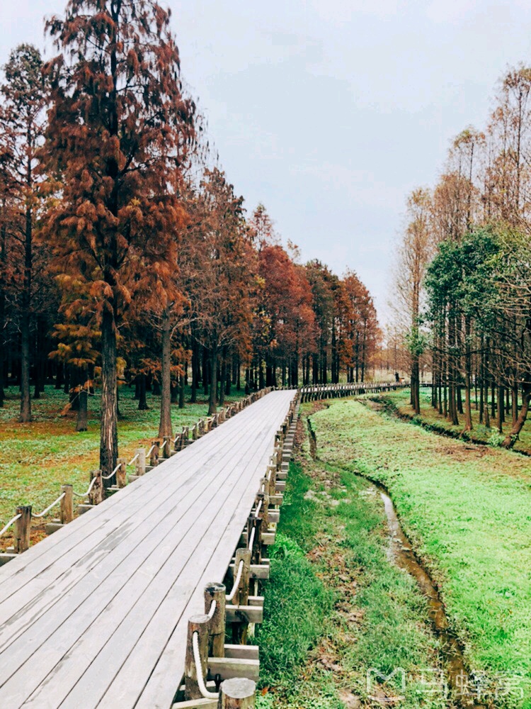 【青浦景点图片】青西郊野公园