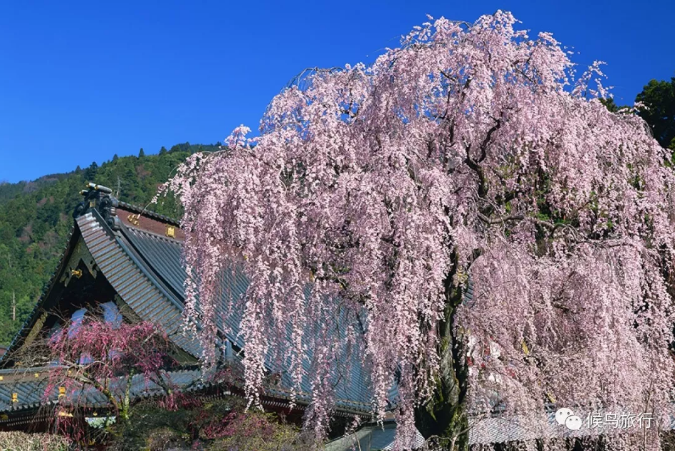 潜派旅行