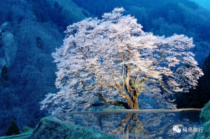 潜派旅行
