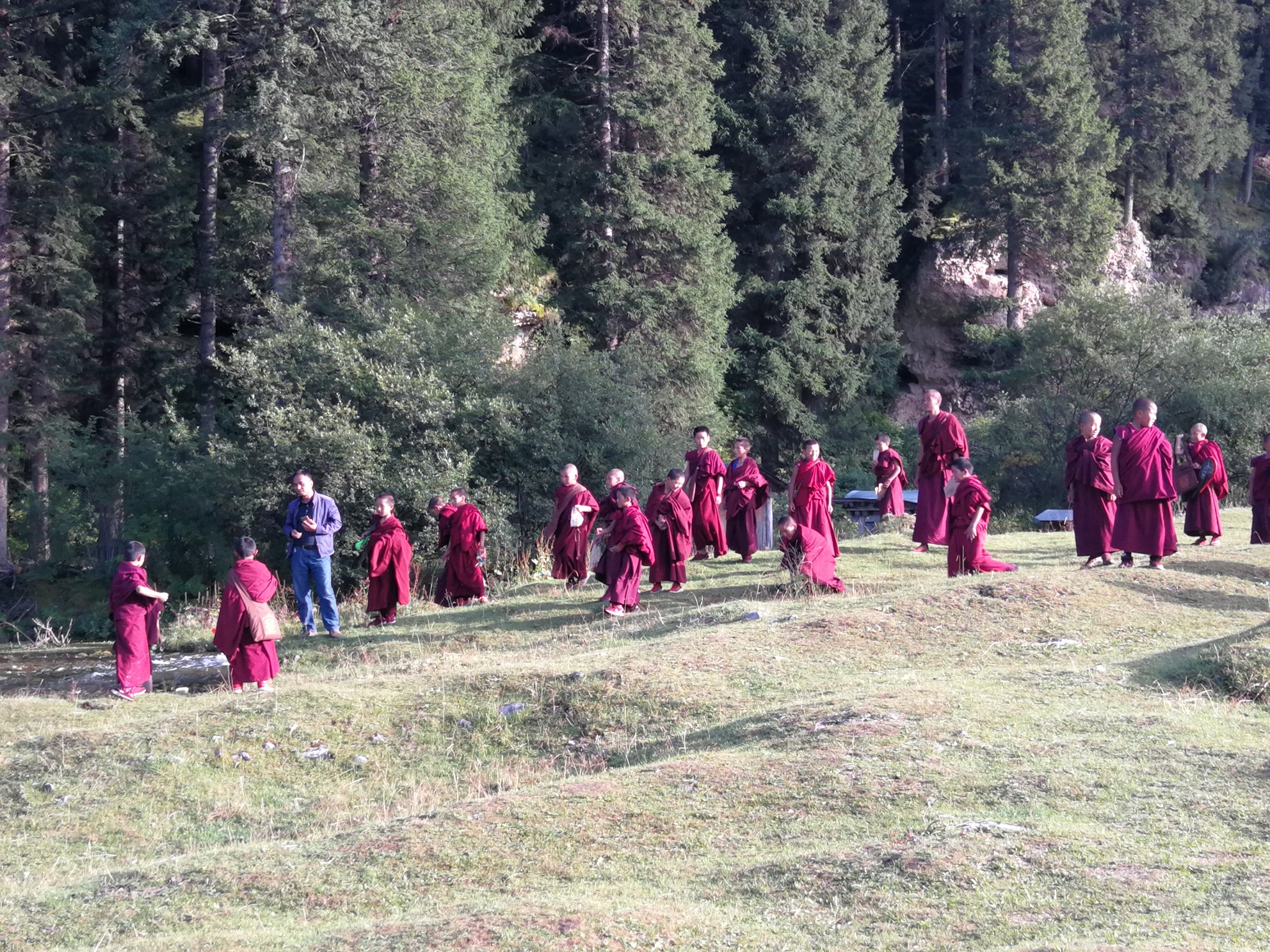 第三天：桑科草原到尕海湖住郎木寺_游记