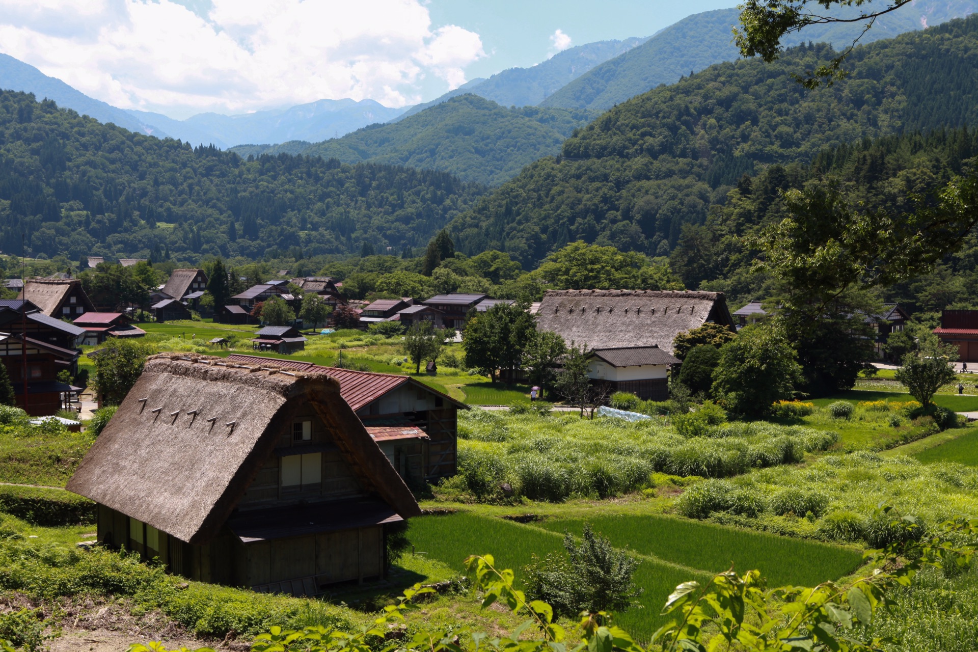 邂逅白川日本白川乡在岐阜县西北,白山山麓下,背倚青山,面朝流水,只有
