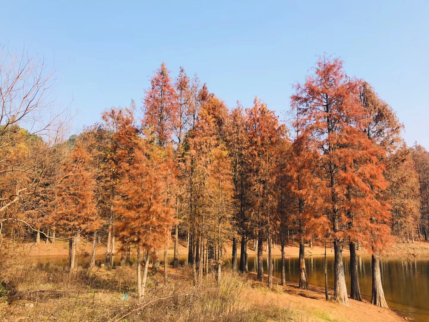 江夏青龙山伪徒步