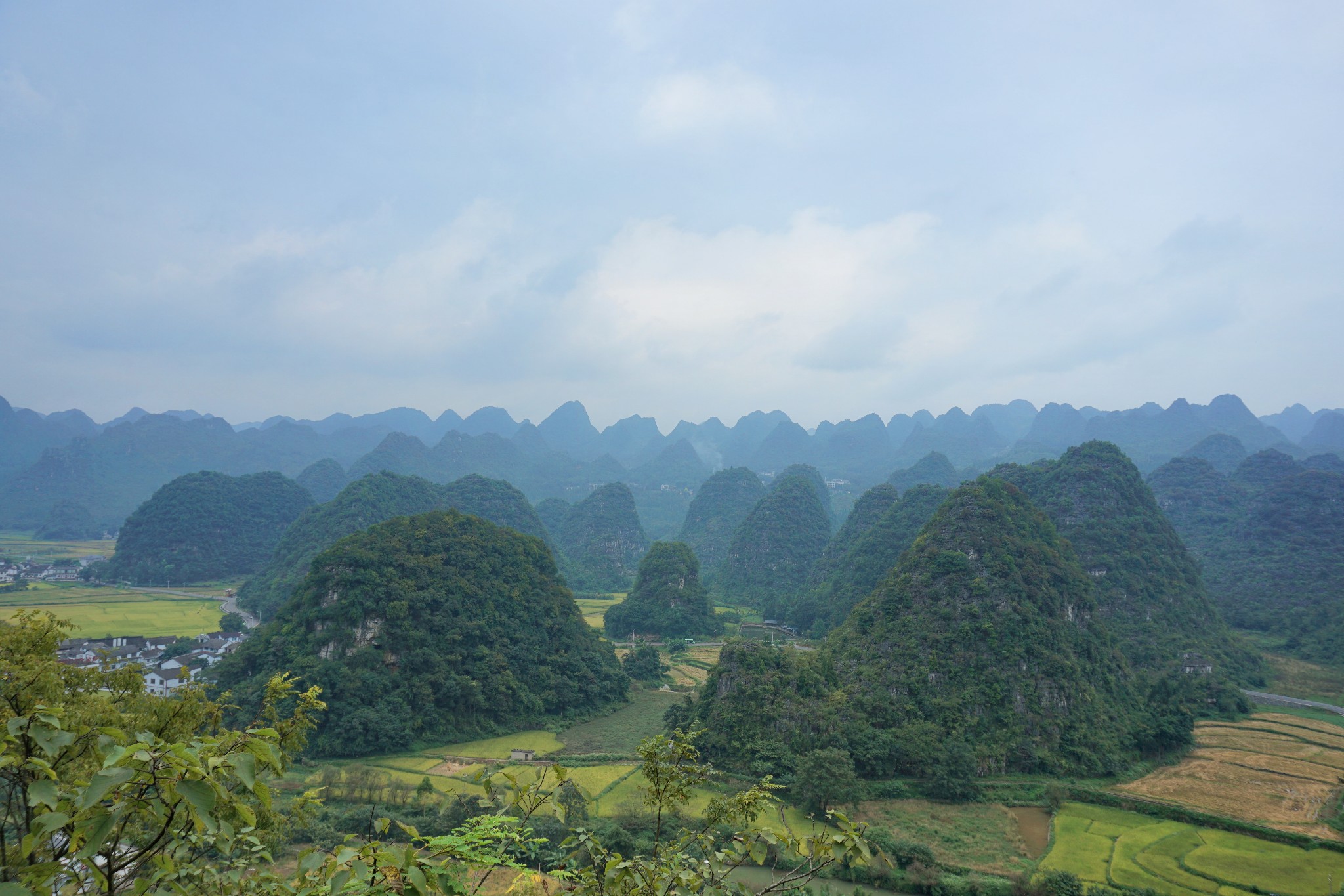 贵州流浪人口_贵州人口老龄化表图