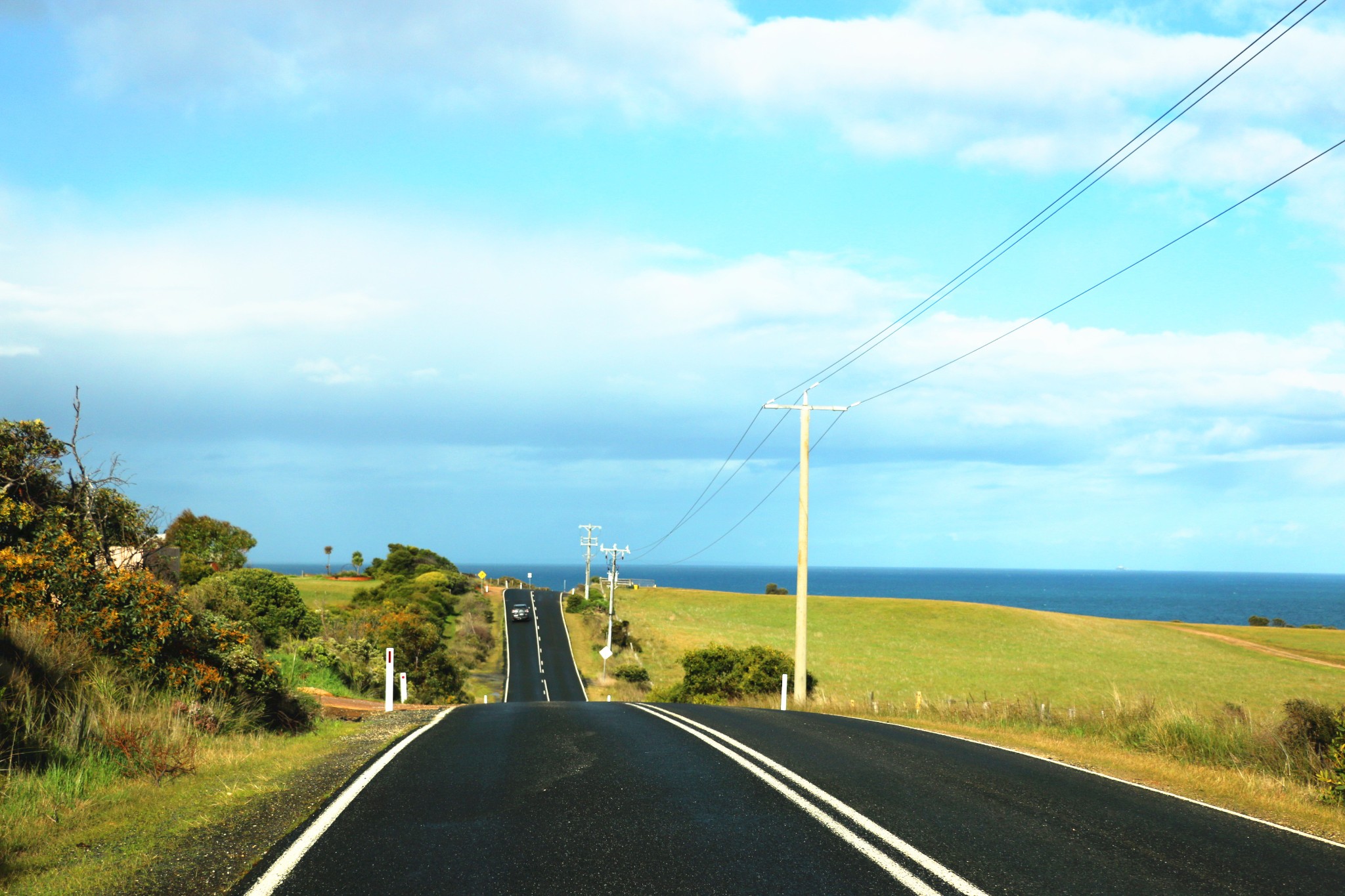 Anglesea娱乐-Great Ocean Road Adventure Tours - Day Tours