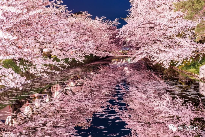 潜派旅行
